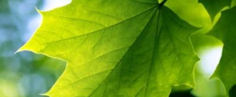 Many UK SMEs are falling short on green credentials, claims report
