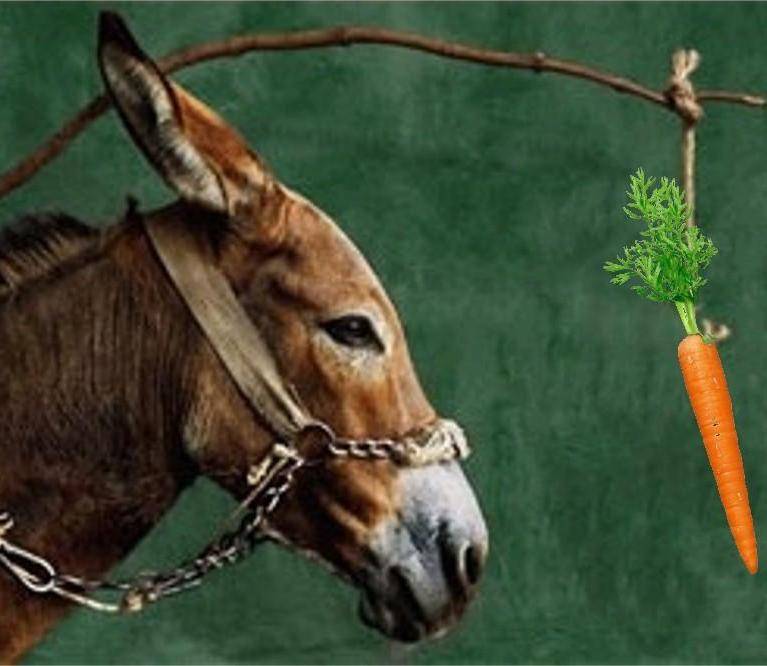 The way we talk about workplace productivity needs another dimension