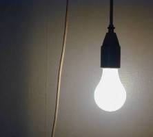 lightbulb1