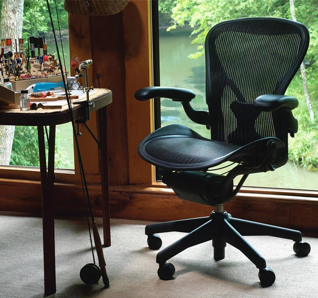 Aeron chair