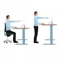 sit stand workstations