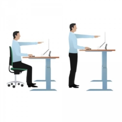 Management is needed to ensure people actually use sit stand workstations