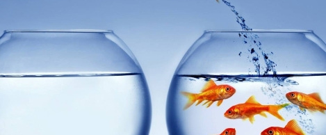 Stalled career progression could prompt rise in employee turnover