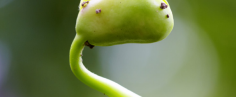 An updated green building standard designed to meet wider business objectives