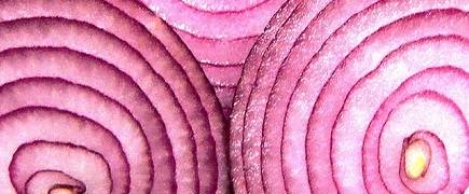The benefits of peeling back the layers of the workplace onion