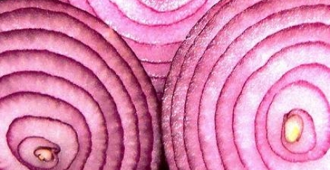 The benefits of peeling back the layers of the workplace onion
