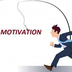 Can an organisation simply buy employee motivation?