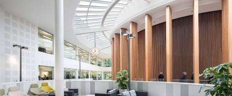 Councils can meet net zero targets with help of building renovation
