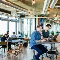 A workplace tale told in numbers: WeWork in 2016
