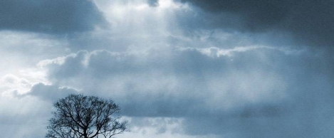 A collection of essays musing on the precarious and uncertain future of work