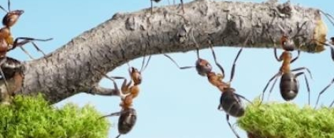 Majority of new managers are unprepared and unable to manage their teams