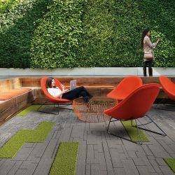 biophilic design