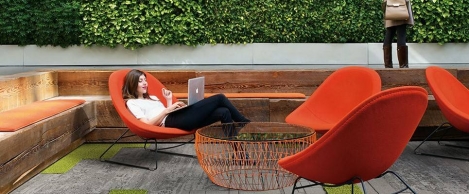 How to measure the impact of biophilia on individual performance