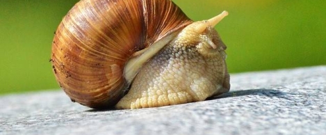 Progress on gender equality at work moving at a snail’s pace, report claims