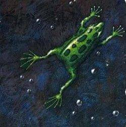 An illustration of a frog, a key metaphor in Charles Handy's writing about the world of work