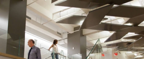 What exactly is driving the global workplace conversation?