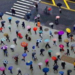 Only a quarter of women and minority employees believe they benefit from corporate diversity programmes