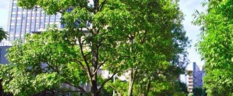 UKGBC claims built environment members are leading the way in sustainability