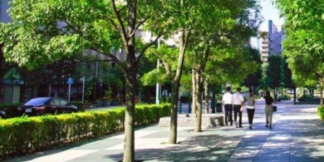 New guidance to increase natural settings into urban spaces