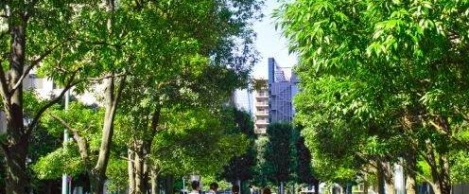 Construction and property firms call on Government to set binding environmental targets