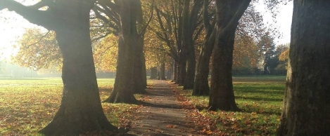 A twenty minute connection with natural surroundings reduces stress