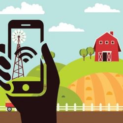 Rural innovation policies need to reflect differences within communities