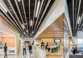 AI could increase the relevance of the physical workplace, Gensler report suggests