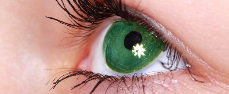 Learning by observation reduces cognitive bias, research suggests