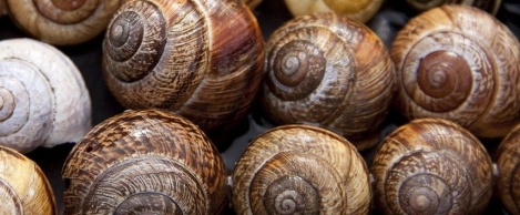 Over half of UK small firms lack high speed internet