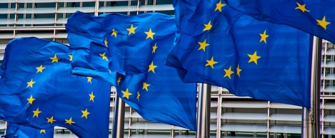 EU membership can hamper local businesses