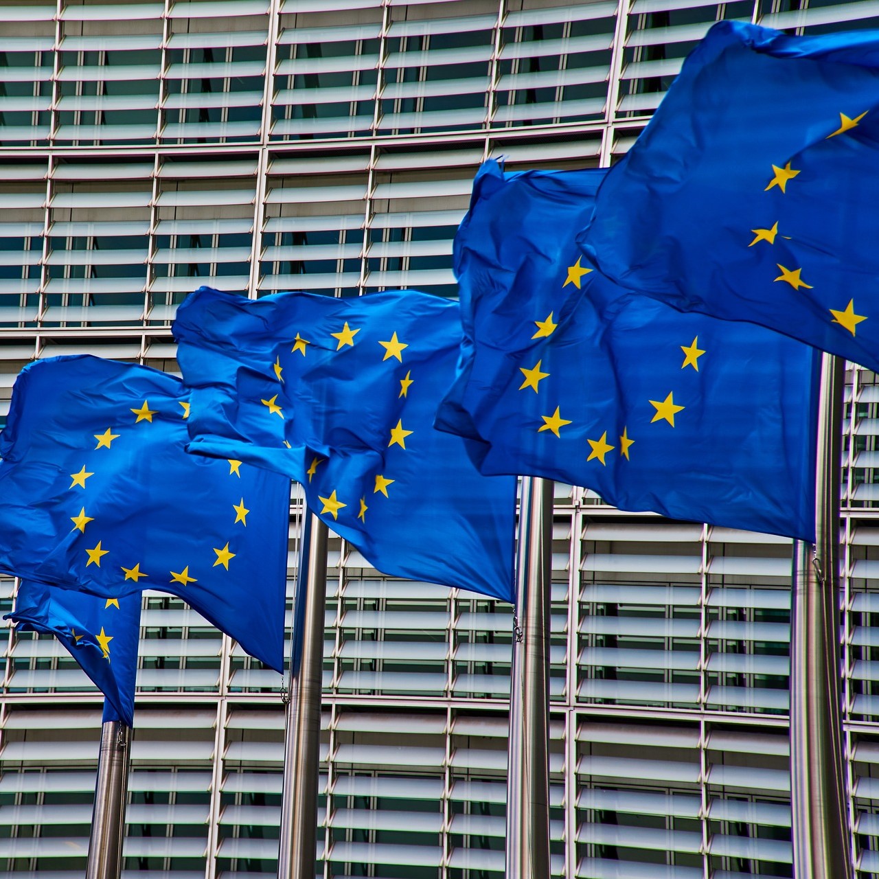 EU membership can hamper local businesses