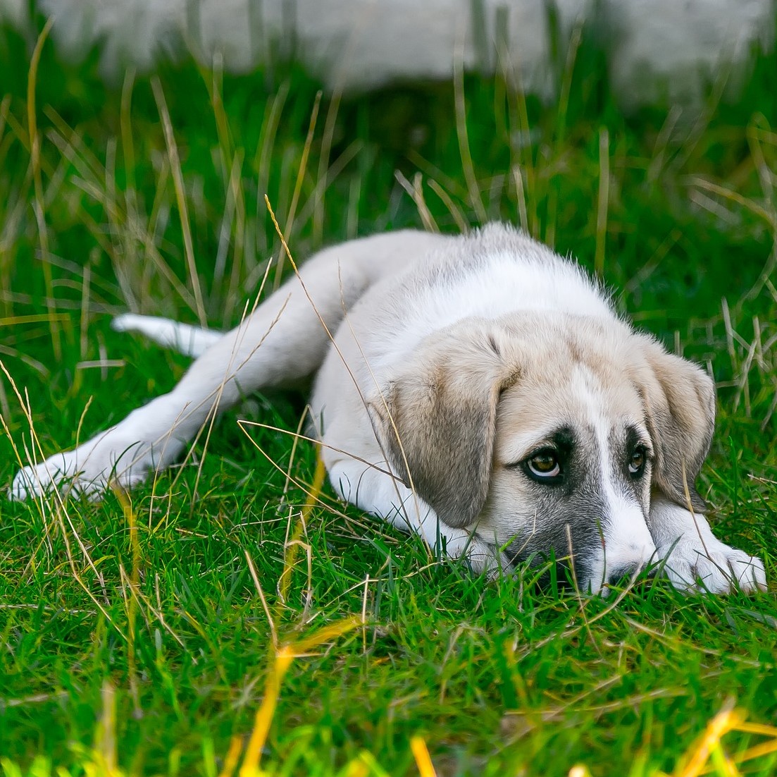 Six in ten workers worry about disappointing boss