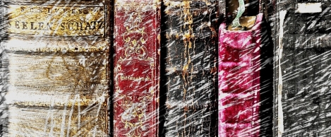Books, smiles and house plants make the best impression on Zoom calls. But maybe not that particular book
