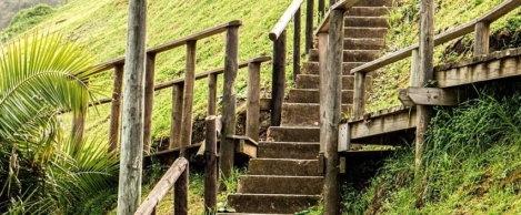 Organisations should seize this opportunity to look at their values