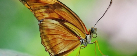 Change can make employees cynical so must be managed by effective communication