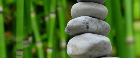 Balancing the rights and responsibilities of employee wellbeing