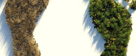 New strategy tackles the post-COVID climate emergency