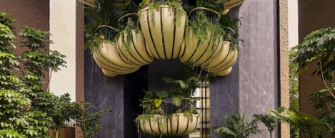 Nature positive cities have potential to transform the world