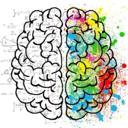 Businesses favour the commercial brain over the creative one, study claims