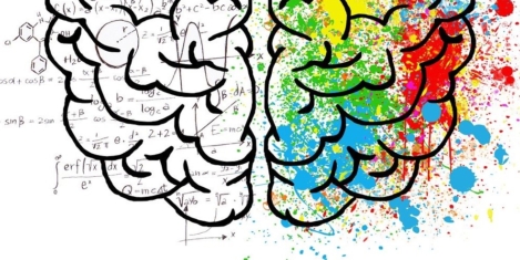 Businesses favour the commercial brain over the creative one, study claims