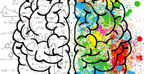 Businesses favour the commercial brain over the creative one, study claims