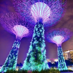 Singapore, Helsinki and Zurich are top of the world`s smart cities