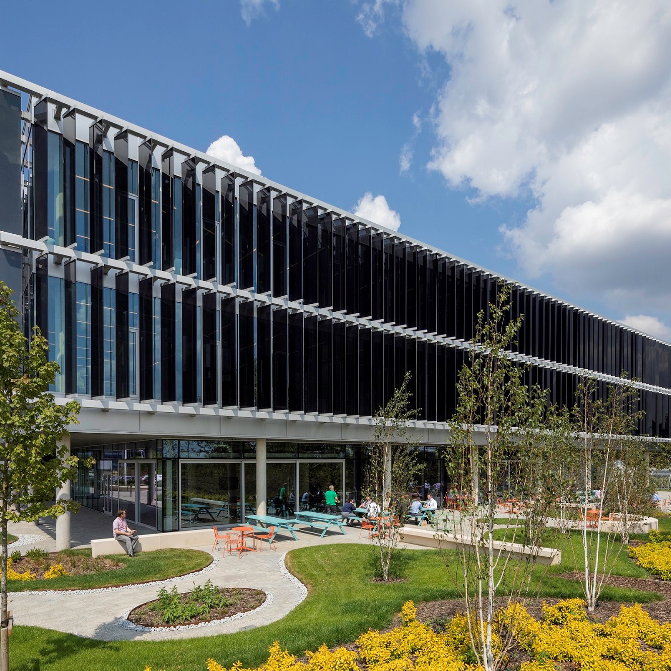Suger office