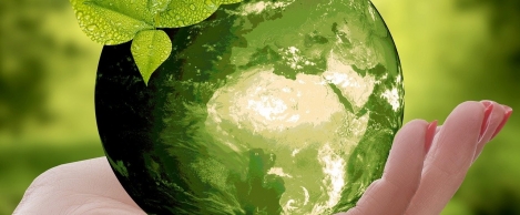 Future of the workplace: Sustainability, climate change and COVID-19