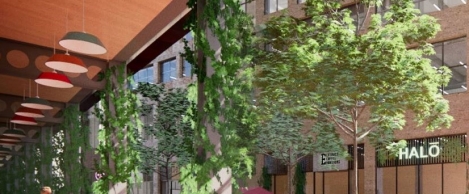 Green building council publishes new guidance for UK local authorities