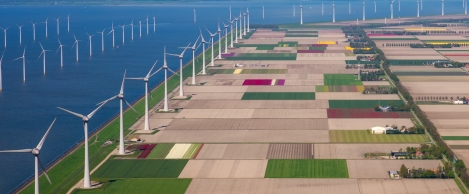 Leading universities lag behind on sustainability teaching, research claims