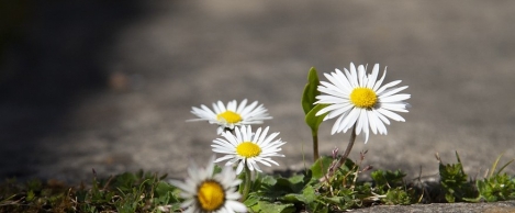 Events of 2020 have proved the value of personal resilience