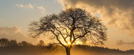 ESG ambitions should top organisational agendas