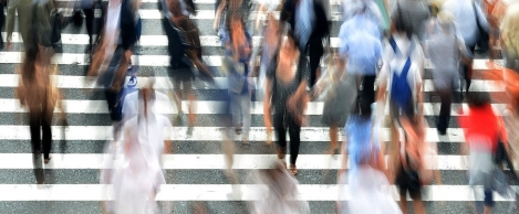 Employment intentions at their strongest in a year