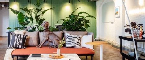 The Collective open new offices in iconic Folkstone building